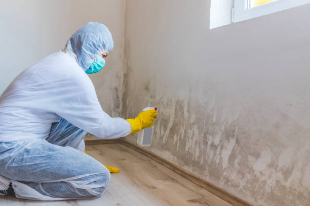 Licensed Hvac And Air Duct Mold Remediation service in Hendersonville, NC - Mold Remediation HQ